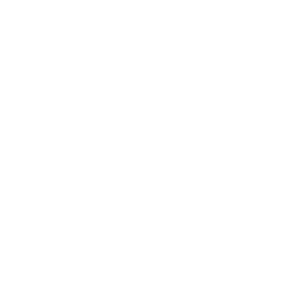 The Bucket List Accountant